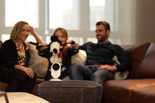 Load image into Gallery viewer, Indoor IP Security Surveillance System with Night Vision, AI Human Detection, Activity Zone, Phone/PC App, Cloud Service - Works with Alexa - Tenyps - Spy Gear, Kids Spy Toys, Anti Spy Tools