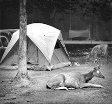 Load image into Gallery viewer, Night Owl iGEN 20/20 Day/Night Vision Monocular (3X) - Tenyps - Spy Gear, Kids Spy Toys, Anti Spy Tools