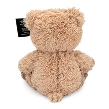 Load image into Gallery viewer, Teddy Bear with Pouch, Easily Insert a Recordable Sound Module - Tenyps - Spy Gear, Kids Spy Toys, Anti Spy Tools