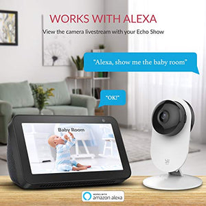 Indoor IP Security Surveillance System with Night Vision, AI Human Detection, Activity Zone, Phone/PC App, Cloud Service - Works with Alexa