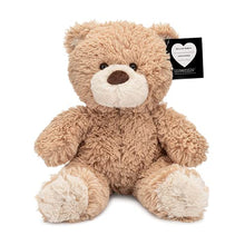 Load image into Gallery viewer, Teddy Bear with Pouch, Easily Insert a Recordable Sound Module
